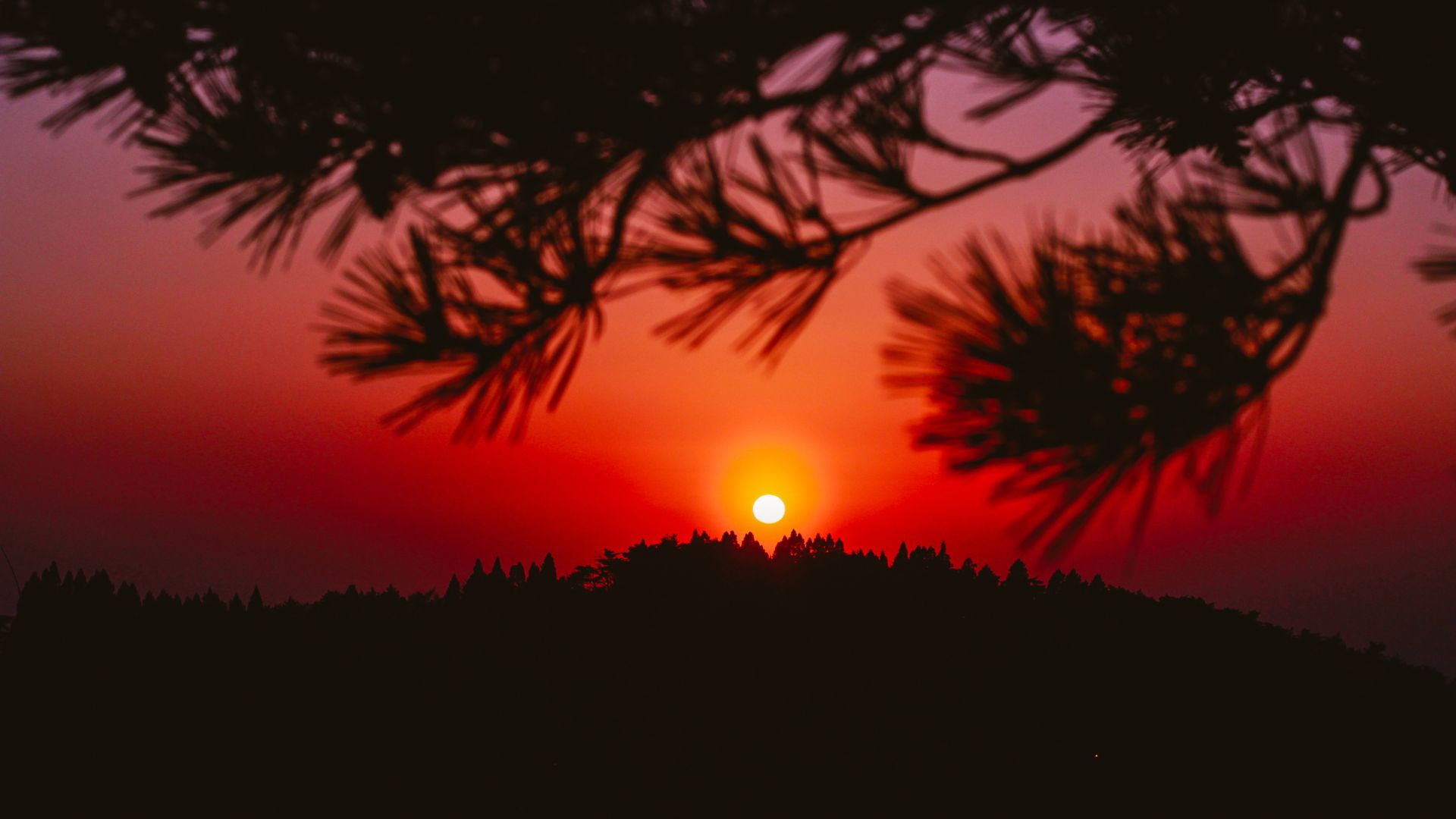 Sunrise desktop wallpaper